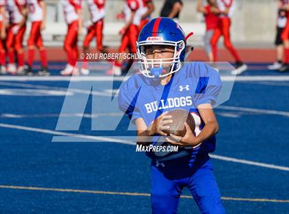 Thumbnail 2 in Antelope @ Folsom photogallery.