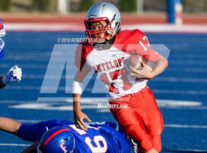 Thumbnail 3 in Antelope @ Folsom photogallery.