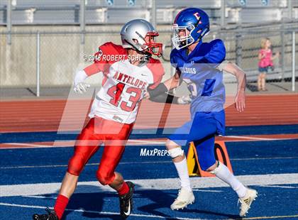 Thumbnail 3 in Antelope @ Folsom photogallery.