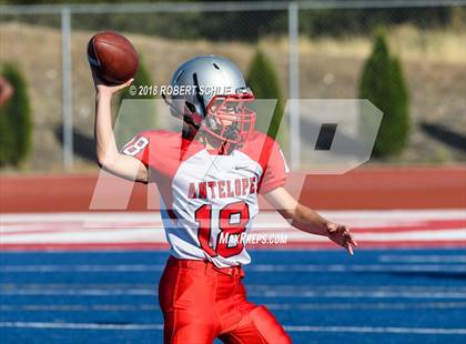 Thumbnail 1 in Antelope @ Folsom photogallery.