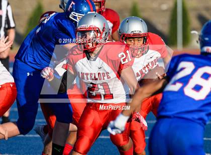 Thumbnail 3 in Antelope @ Folsom photogallery.