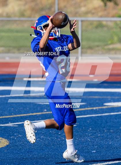 Thumbnail 1 in Antelope @ Folsom photogallery.
