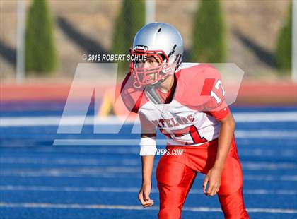 Thumbnail 1 in Antelope @ Folsom photogallery.