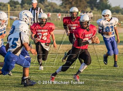 Thumbnail 2 in Orland @ Corning photogallery.