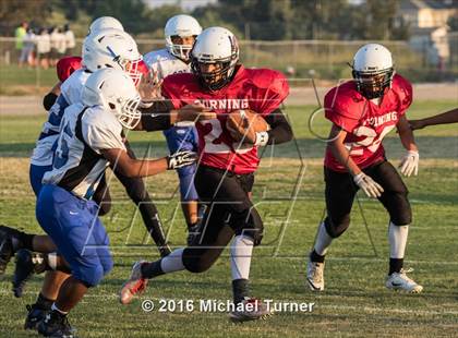 Thumbnail 1 in Orland @ Corning photogallery.