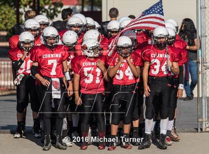 Thumbnail 3 in Orland @ Corning photogallery.