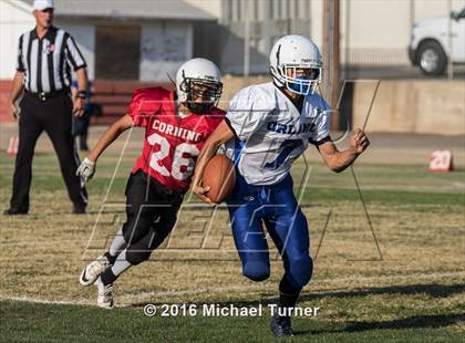 Thumbnail 3 in Orland @ Corning photogallery.