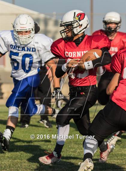 Thumbnail 2 in Orland @ Corning photogallery.
