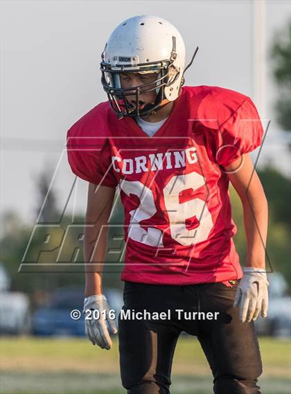 Thumbnail 3 in Orland @ Corning photogallery.