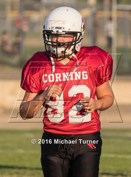 Thumbnail 2 in Orland @ Corning photogallery.