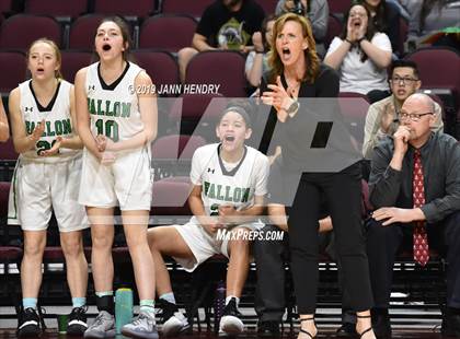 Thumbnail 3 in Churchill County vs. Boulder City (NIAA 3A Semifinal) photogallery.