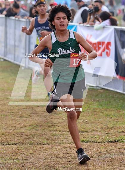 Thumbnail 2 in CIF Central Section Cross Country Championships (Boys D2 Race) photogallery.