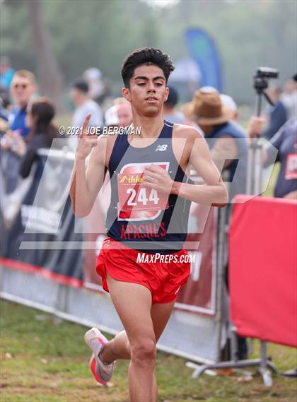 Thumbnail 3 in CIF Central Section Cross Country Championships (Boys D2 Race) photogallery.