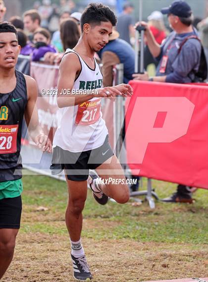 Thumbnail 1 in CIF Central Section Cross Country Championships (Boys D2 Race) photogallery.