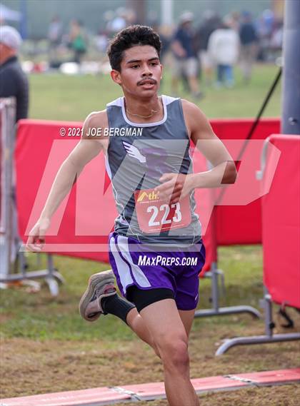 Thumbnail 2 in CIF Central Section Cross Country Championships (Boys D2 Race) photogallery.