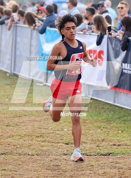 Thumbnail 1 in CIF Central Section Cross Country Championships (Boys D2 Race) photogallery.