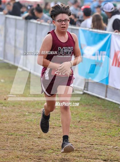 Thumbnail 2 in CIF Central Section Cross Country Championships (Boys D2 Race) photogallery.