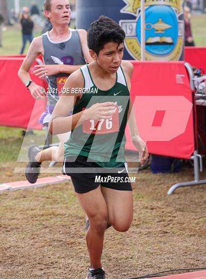Thumbnail 1 in CIF Central Section Cross Country Championships (Boys D2 Race) photogallery.