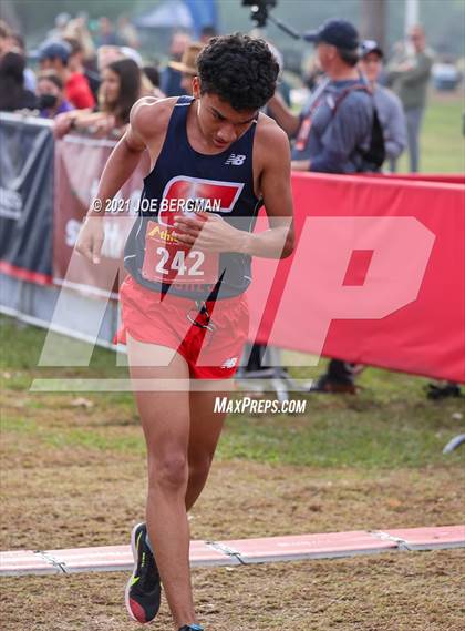 Thumbnail 2 in CIF Central Section Cross Country Championships (Boys D2 Race) photogallery.