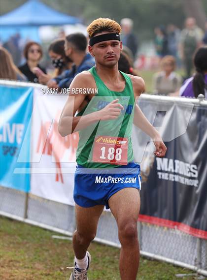 Thumbnail 1 in CIF Central Section Cross Country Championships (Boys D2 Race) photogallery.