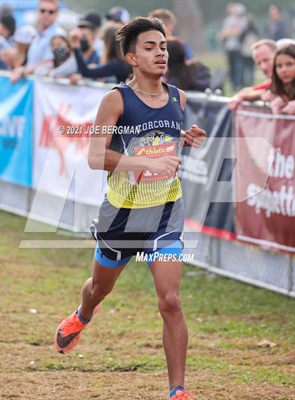 Thumbnail 1 in CIF Central Section Cross Country Championships (Boys D2 Race) photogallery.