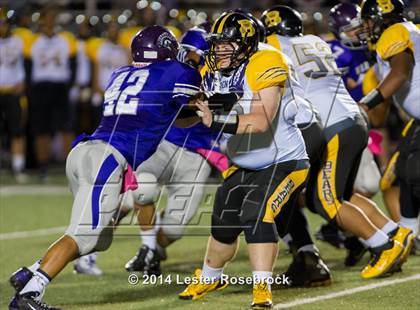Thumbnail 3 in Brennan @ Warren photogallery.