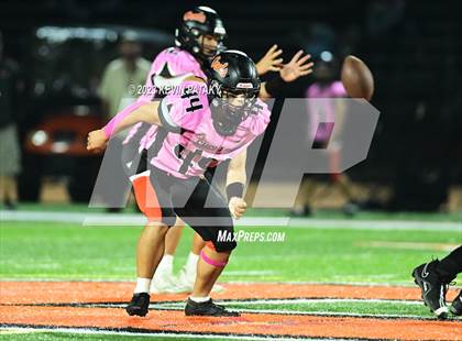 Thumbnail 2 in North Haven @ Shelton photogallery.