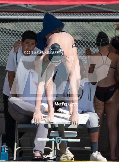 Thumbnail 1 in EHS Varsity Swim Tournament  photogallery.
