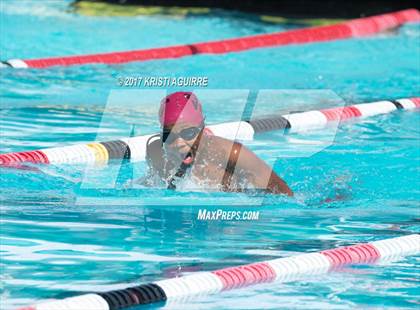 Thumbnail 1 in EHS Varsity Swim Tournament  photogallery.