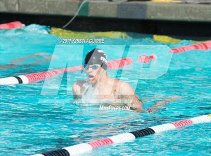 Thumbnail 1 in EHS Varsity Swim Tournament  photogallery.