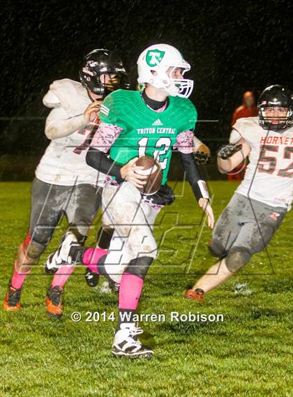 Thumbnail 3 in Beech Grove @ Triton Central photogallery.