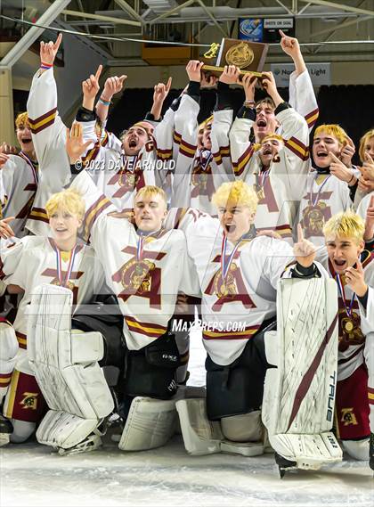 Thumbnail 1 in Thornton Academy vs. Freeport (MPA Class A State Final) photogallery.