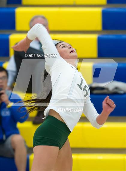 Thumbnail 1 in Archbishop Mitty vs. Sacred Heart Cathedral Preparatory (CIF CCS Playoffs) photogallery.