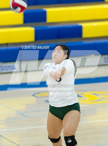 Thumbnail 3 in Archbishop Mitty vs. Sacred Heart Cathedral Preparatory (CIF CCS Playoffs) photogallery.