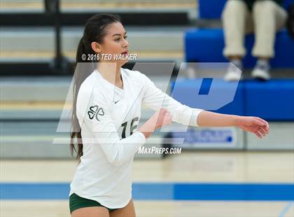 Thumbnail 3 in Archbishop Mitty vs. Sacred Heart Cathedral Preparatory (CIF CCS Playoffs) photogallery.