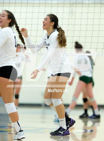 Thumbnail 2 in Archbishop Mitty vs. Sacred Heart Cathedral Preparatory (CIF CCS Playoffs) photogallery.