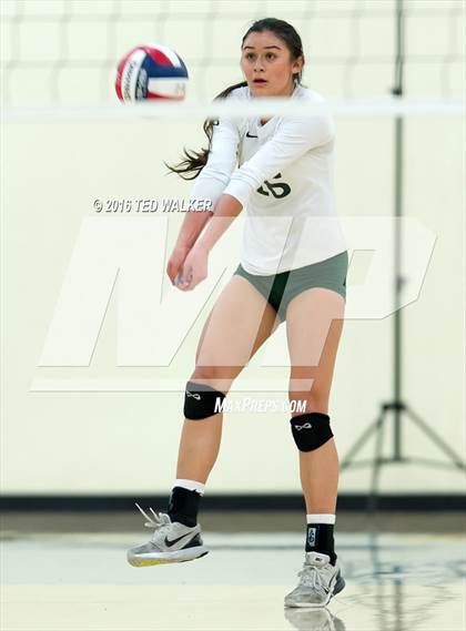 Thumbnail 1 in Archbishop Mitty vs. Sacred Heart Cathedral Preparatory (CIF CCS Playoffs) photogallery.