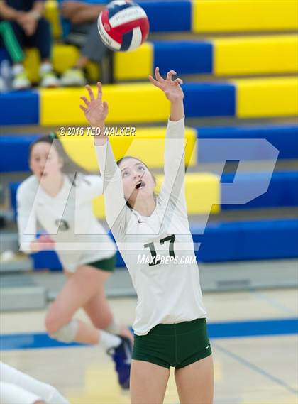 Thumbnail 2 in Archbishop Mitty vs. Sacred Heart Cathedral Preparatory (CIF CCS Playoffs) photogallery.