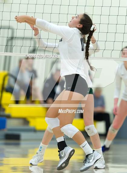 Thumbnail 3 in Archbishop Mitty vs. Sacred Heart Cathedral Preparatory (CIF CCS Playoffs) photogallery.