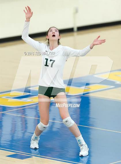 Thumbnail 2 in Archbishop Mitty vs. Sacred Heart Cathedral Preparatory (CIF CCS Playoffs) photogallery.