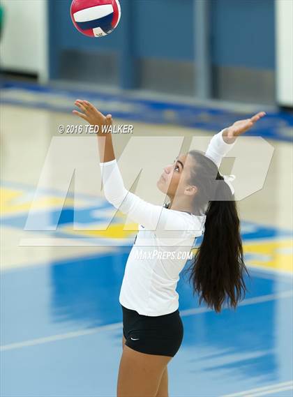 Thumbnail 3 in Archbishop Mitty vs. Sacred Heart Cathedral Preparatory (CIF CCS Playoffs) photogallery.
