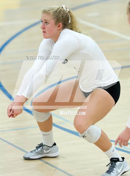 Thumbnail 1 in Archbishop Mitty vs. Sacred Heart Cathedral Preparatory (CIF CCS Playoffs) photogallery.