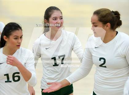 Thumbnail 1 in Archbishop Mitty vs. Sacred Heart Cathedral Preparatory (CIF CCS Playoffs) photogallery.