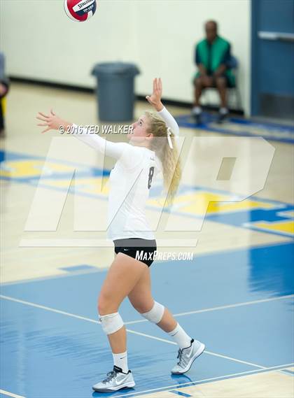 Thumbnail 1 in Archbishop Mitty vs. Sacred Heart Cathedral Preparatory (CIF CCS Playoffs) photogallery.