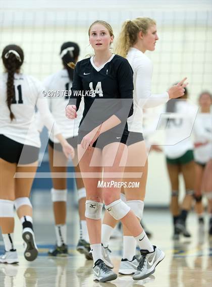 Thumbnail 2 in Archbishop Mitty vs. Sacred Heart Cathedral Preparatory (CIF CCS Playoffs) photogallery.