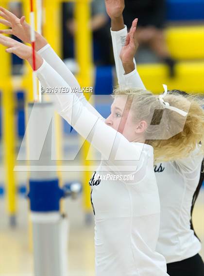 Thumbnail 1 in Archbishop Mitty vs. Sacred Heart Cathedral Preparatory (CIF CCS Playoffs) photogallery.