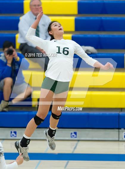 Thumbnail 2 in Archbishop Mitty vs. Sacred Heart Cathedral Preparatory (CIF CCS Playoffs) photogallery.