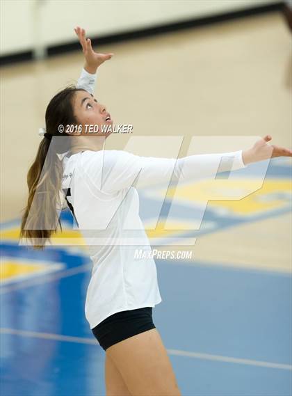Thumbnail 1 in Archbishop Mitty vs. Sacred Heart Cathedral Preparatory (CIF CCS Playoffs) photogallery.