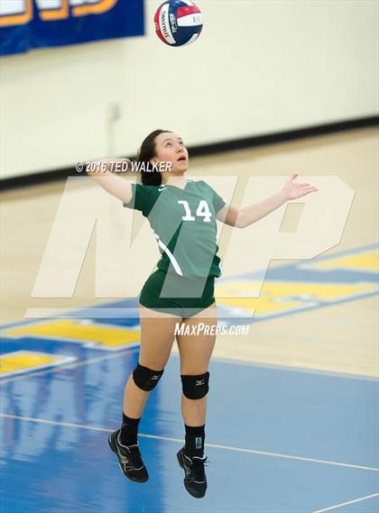 Thumbnail 1 in Archbishop Mitty vs. Sacred Heart Cathedral Preparatory (CIF CCS Playoffs) photogallery.
