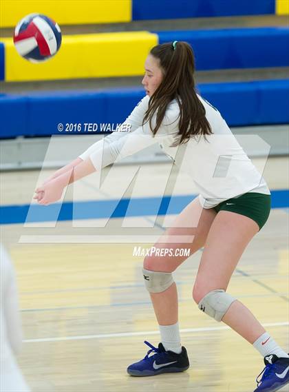 Thumbnail 3 in Archbishop Mitty vs. Sacred Heart Cathedral Preparatory (CIF CCS Playoffs) photogallery.